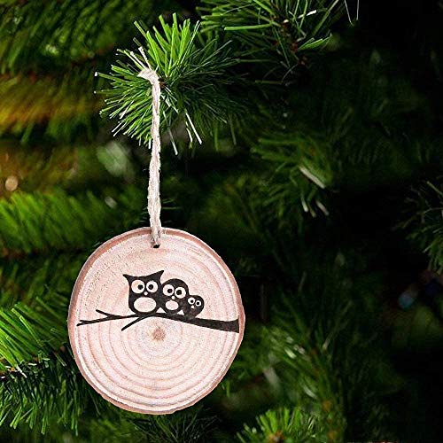 William Craft Unfinished Natural Wood Slices 20 Pcs 3.5-4 Inch Wood Coaster Sets Pieces Craft Wood kit Predrilled with Hole Wooden Circles Great for Arts and Crafts Christmas Ornaments DIY Crafts Rustic Wedding - Image 5