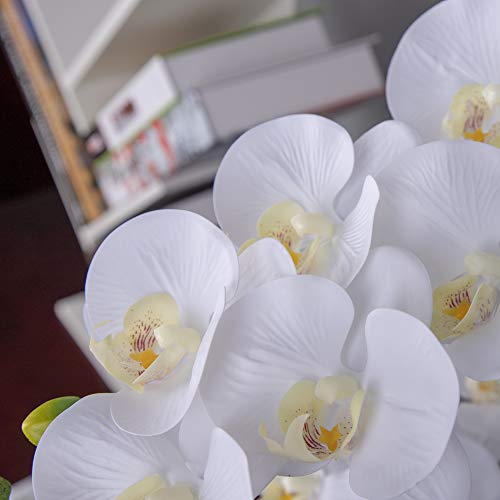 Fnize Orchid Stems Artificial Flowers Real Touch Latex Faux Phalaenopsis Branches 9 Large Blooms 38 Inches 2pcs White - Image 4