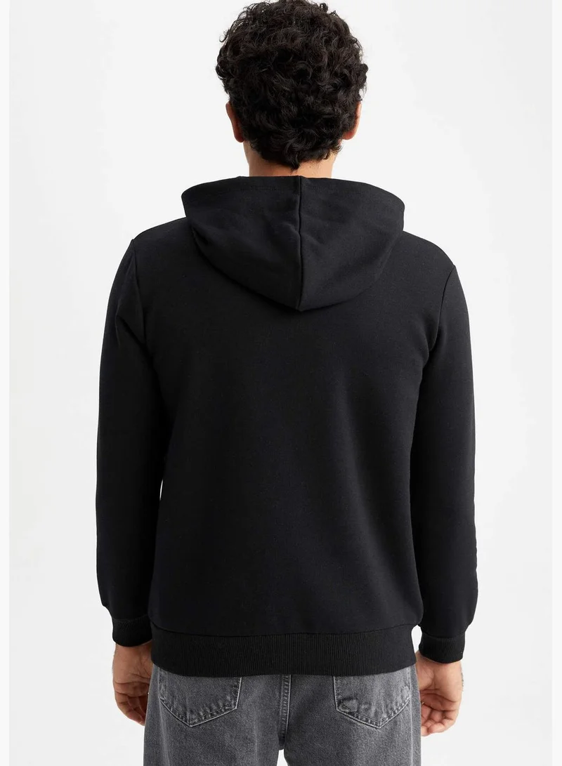 DeFacto Man Hooded Knitted Sweatshirt