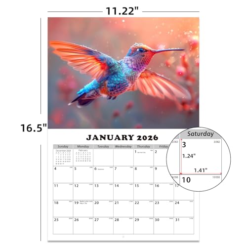 Dayvorax 2026 Wall Calendar - Monthly Calendar 2026-2027, Jan 2026 - Jan 2027, 11" x 16.5", Large Wall Calendar with Thick Paper, Large Blocks, Home or Office Calendar, Hummingbirds - Image 3