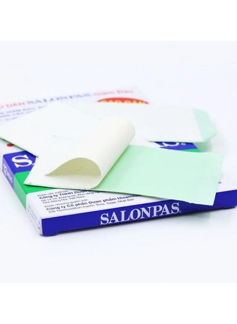 Salonpas 10-PACK Pain Relief Patch, Joint Pain Relief, 20pcs*10 - Image 3