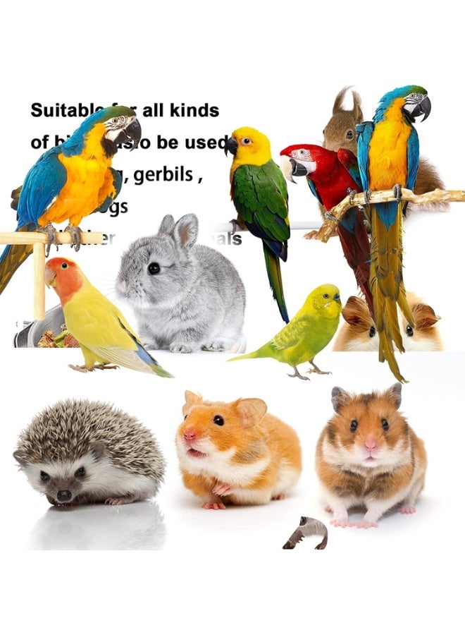 JOGAMS Bird Feeding Cups with Clamp Holder 3Pcs Pet Cage Seed Feeder Parrot Food Water Bowls with Clamp for Parakeet Cockatiels Conure Budgies Lovebird Finch - Image 2