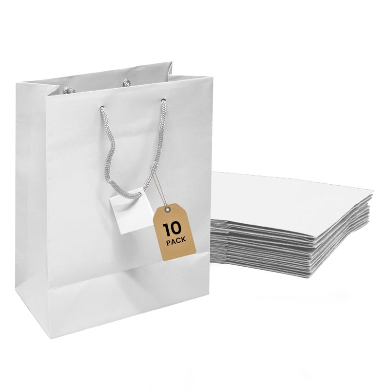 Novel Box White Gift Bags with Handles 10 Pack 8x4x10 Inches Large Paper Bulk Gift Bags for Business Shopping Birthday Party Favor  Euro Tote Paper Bag for Groceries  Personal Use