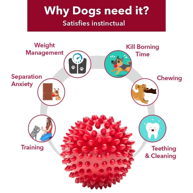 swacch Shampoo | Puppy Safe Shampoo | PH Balanced | Ditch to Itch for Pet Shampoo 500ml Pack of 2 (Jasmine) + Spike Ball Chew Toy Combo Pack - Image 5