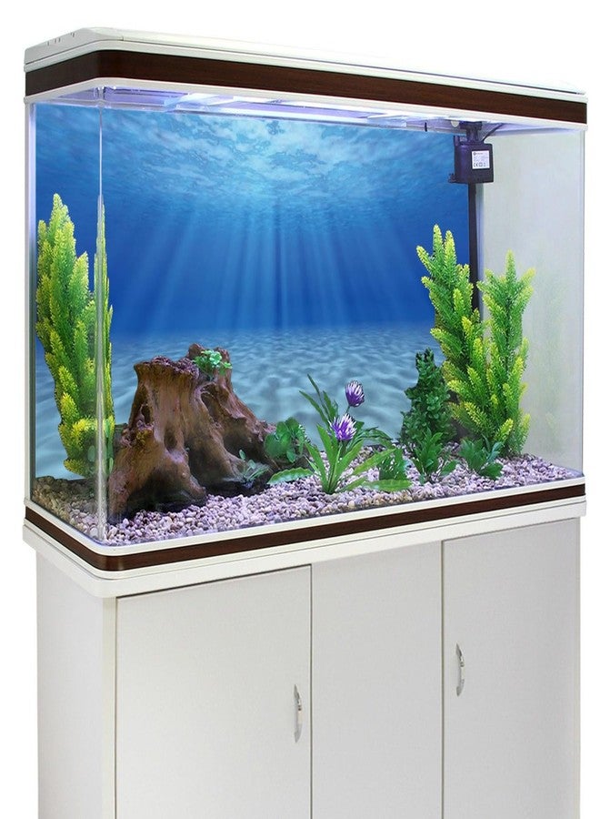 AWERT Undersea Theme Aquarium Background Sunshine Underwater World Fish Tank Background 24x12 inches - Image 4