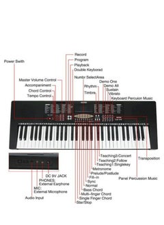 61-Key Teaching Electronic Keyboard with Adjustable Stand and Microphone, 33-96.5 cm Adjustable Height, 27.9-96.5 cm Adjustable Width - YM-288 - pzsku/Z90CAFFB1C9BD3EB8038DZ/45/_/1701001424/79371550-9fe2-45e1-9753-6abe462732ef