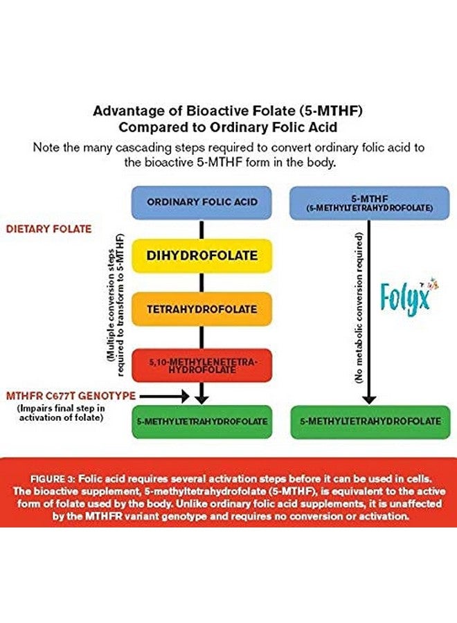 Trexgen - FOLYX L Methyl folate 1 mg (Active form of Folic acid (Vitamin B9) -100 Tablets - Image 4