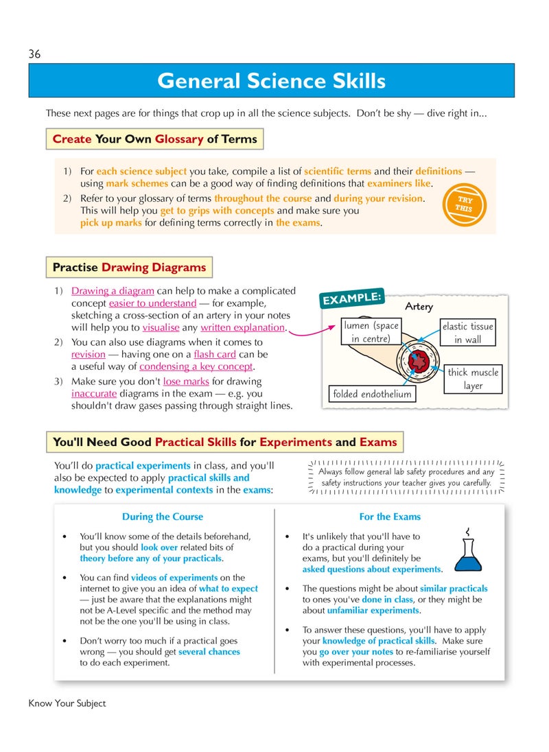 How to Revise for A-Level: Study Skills & Planner - from CGP, the Revision Experts (inc Videos) - pzsku/Z90CCE5EBCC991B745E21Z/45/_/1732721008/085af90b-6fb3-4e25-be32-ba4b6985f732