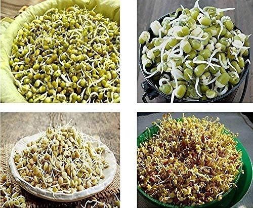 Entisia 3 Container Sprout Bowl Maker - 1 Pcs Plastic Multipurpose Sprout Maker with Container for Sprouted Grains, Seeds, Dal, Channa, Chole Home Kitchen (Multicolor, 3 Layer Bowl) - Image 3