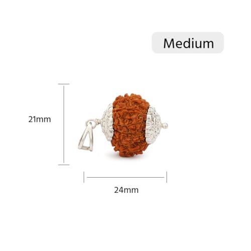 Gemsmantra 13 Mukhi Rudraksha Bead With Pendant in 92.5 Sterling Silver |Medium Size | Original Nepali | Natural and Lab Certified | Represents Lord Indra & Lord Kamadeva, Creativity & Success For Men & Women - Image 2