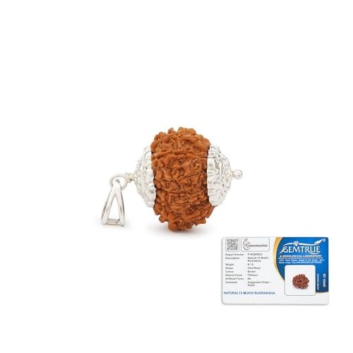 Gemsmantra 13 Mukhi Rudraksha Bead With Pendant in 92.5 Sterling Silver |Medium Size | Original Nepali | Natural and Lab Certified | Represents Lord Indra & Lord Kamadeva, Creativity & Success For Men & Women - Image 1