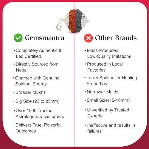 Gemsmantra 13 Mukhi Rudraksha Bead With Pendant in 92.5 Sterling Silver |Medium Size | Original Nepali | Natural and Lab Certified | Represents Lord Indra & Lord Kamadeva, Creativity & Success For Men & Women - Image 5