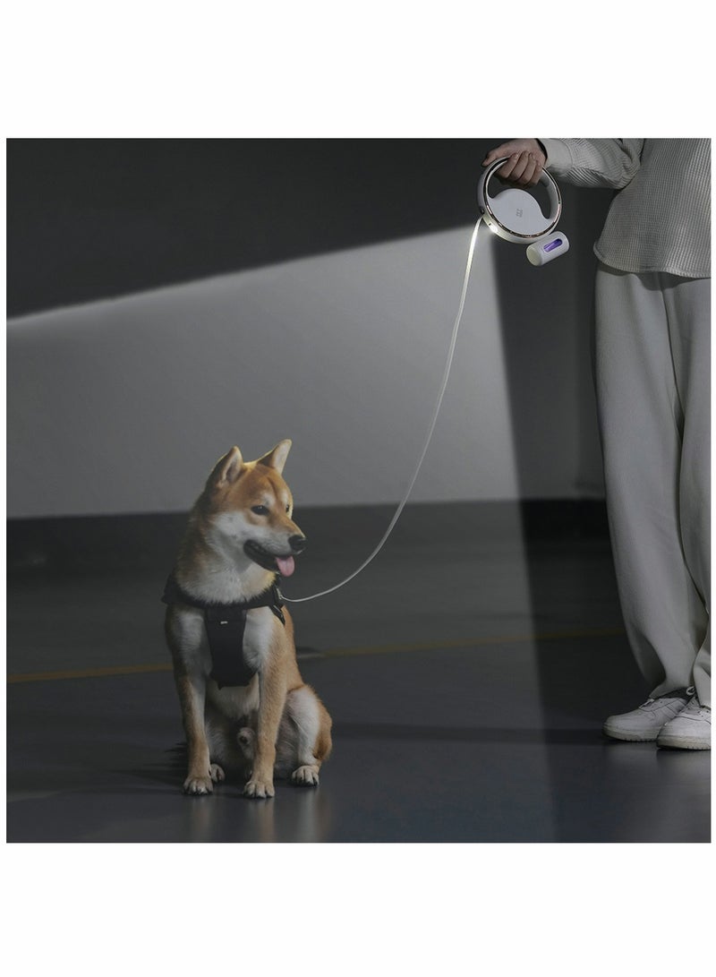 Luckam Retractable Dog Lead Extendable 3M/10FT, Extendable Dog Lead 360¬∞Tangle-Free Smooth&Durable Nylon Tape with Anti-Slip Handle, One-Handed Brake for Small Medium Dogs and Cats - Image 4