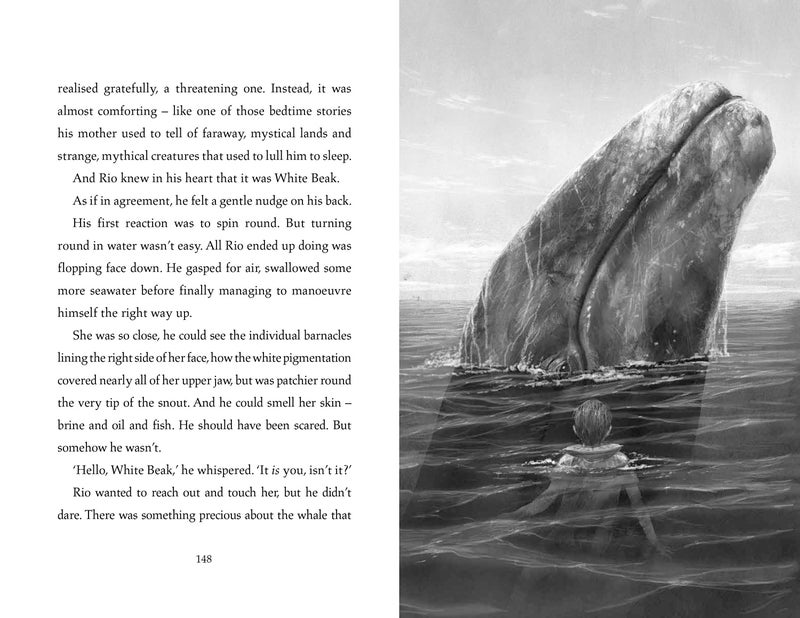 The Lost Whale: A powerful animal adventure story for children, from the bestselling author of The Last Bear - Image 2