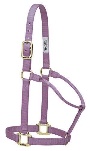 Weaver Equine Weaver Leather Original Non-Adjustable Nylon Horse Halter, Average, Lavender - Image 5