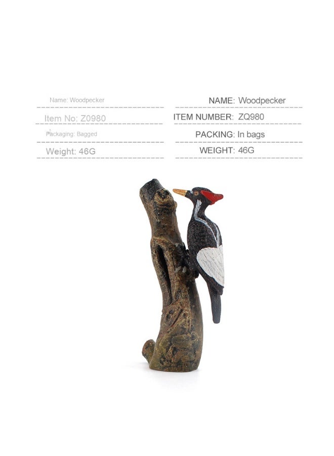 نيبمينينت نماذج الطيور البرية للأطفال للتعليم والوعي بالعلوم الطبيعية