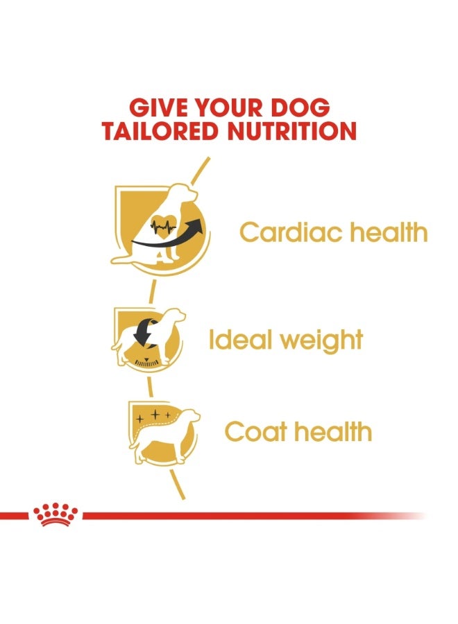 رويال كانين، طعام جاف للكلاب البالغة من سلالة كافاليير كينغ تشارلز - 1.5 كجم، تغذية صحية لسلالة الكلاب - Image 3