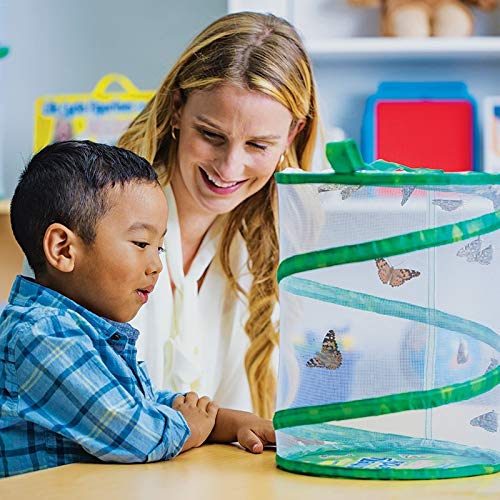 Insect Lore Butterfly Garden Habitat | Washable, Reusable, Folds Flat | Medium 12 Inch Butterfly Growing Habitat - Image 2