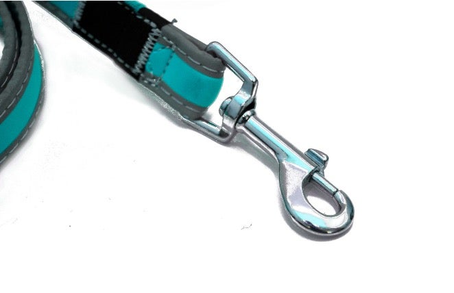 Nunbell® Pet Reflective Leash - Aqua Blue - Image 2