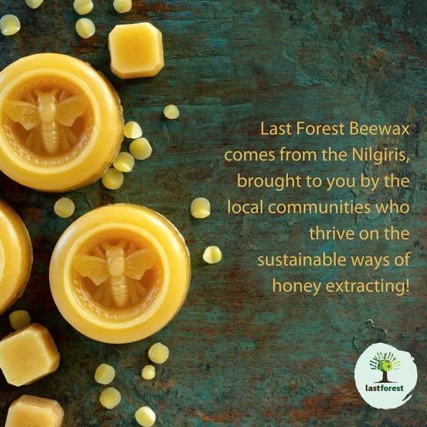 Last Forest Beeswax Lip Balm for Men & Women 5g, Non-sticky, 24 Hrs Lip Moisturizer For Dry And Chapped Lips, Nourish & Protect (Mint) - Image 5