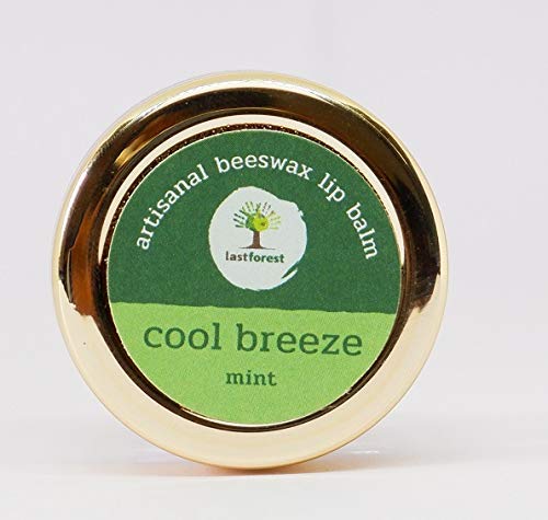 Last Forest Beeswax Lip Balm for Men & Women 5g, Non-sticky, 24 Hrs Lip Moisturizer For Dry And Chapped Lips, Nourish & Protect (Mint) - Image 3