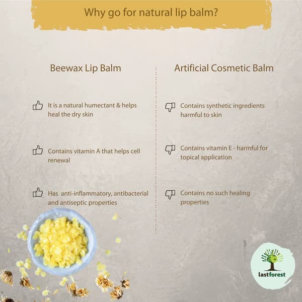 Last Forest Beeswax Lip Balm for Men & Women 5g, Non-sticky, 24 Hrs Lip Moisturizer For Dry And Chapped Lips, Nourish & Protect (Mint) - Image 4