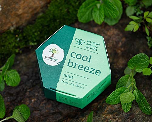 Last Forest Beeswax Lip Balm for Men & Women 5g, Non-sticky, 24 Hrs Lip Moisturizer For Dry And Chapped Lips, Nourish & Protect (Mint) - Image 2