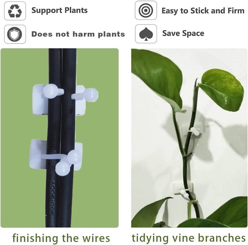 TAZLYN TAZYN Plant Support for Climbers Leaf Plant Organiser Clip Money Plant Clips for Wall Support Creeper Plant Support Climber Support for Plants Plant Holder for Wall Climbing Wall Clips (30 PCS Pack) - Image 3
