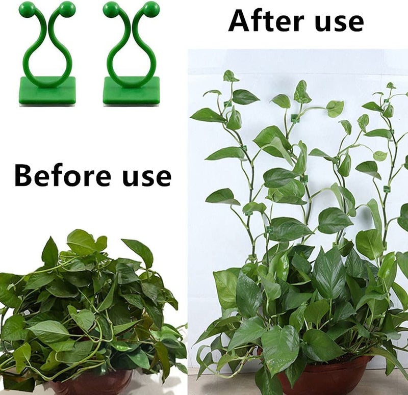 TAZLYN TAZYN Plant Support for Climbers Leaf Plant Organiser Clip Money Plant Clips for Wall Support Creeper Plant Support Climber Support for Plants Plant Holder for Wall Climbing Wall Clips (30 PCS Pack) - Image 2