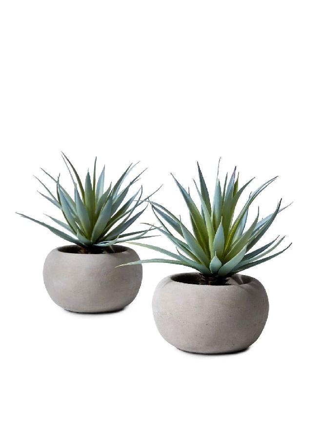 Serene Spaces Living Serene Spaces Living Sword Grass in Grey Cement Pot, Set of 2, Perfect for Weddings and Home Décor, Real Looking Succulent for Decoration, Measures 6in Diameter x 8in High  - Image 2