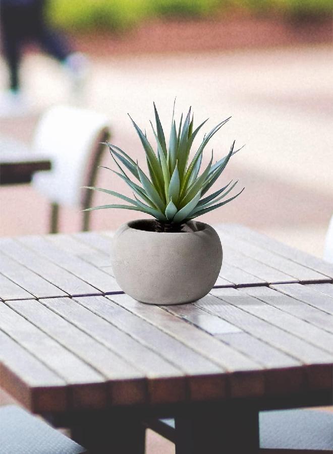 Serene Spaces Living Serene Spaces Living Sword Grass in Grey Cement Pot, Set of 2, Perfect for Weddings and Home Décor, Real Looking Succulent for Decoration, Measures 6in Diameter x 8in High  - Image 1
