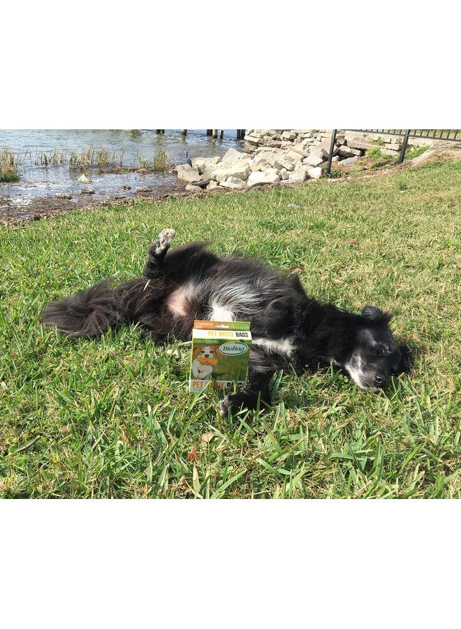 Biobag Compostable Pet Waste Bags, Standard Size, 50 Count (1871054) (Pack Of 4) - Image 5