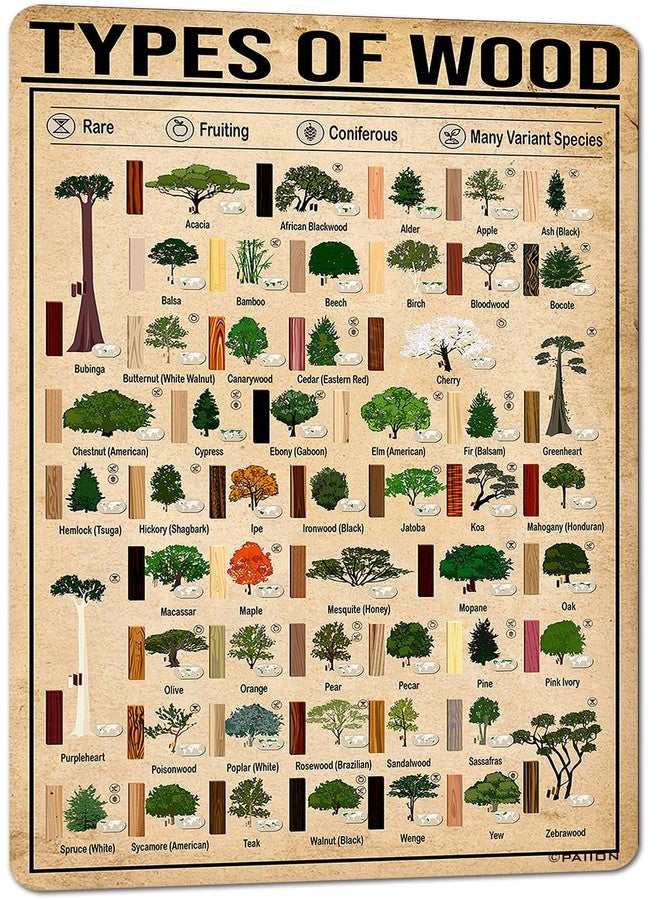 PAIION Types of Wood Metal Sign Woodworking Knowledge Infographic Wall Poster for School Flower Shop Bar Cafe Home Kitchenes 8x12 Inch - Image 1