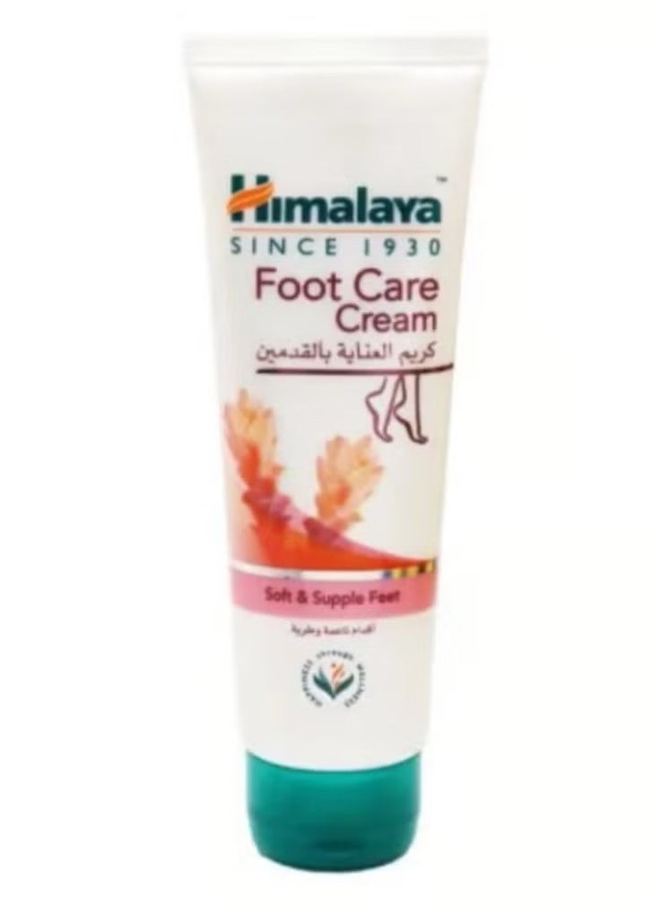 Himalaya Foot care cream 75 grams 