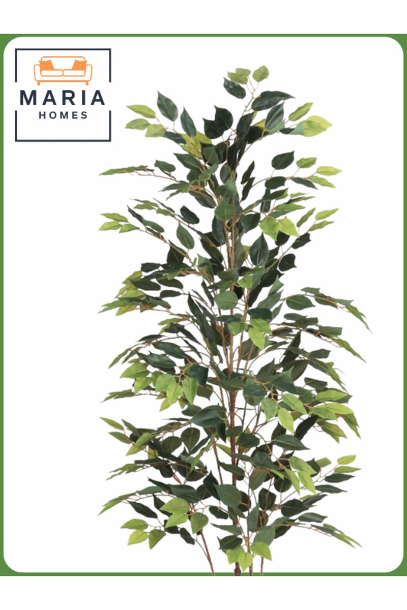 ماريا شجرة فيكس اصطناعية 170 سم – نبات زينة داخلي مع وعاء ذهبي - Image 2