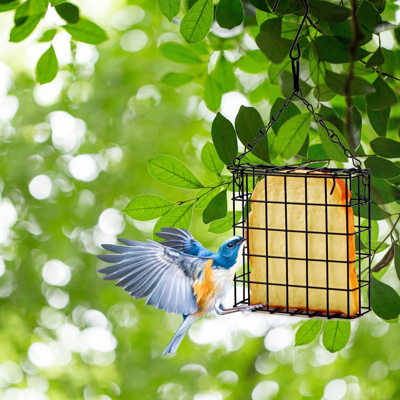 Shitailu 2Pcs Suet Bird Feeders, Outdoor Garden Cages for Outside Hanging, Single Suet Cake, One Suet Capacity - Image 5
