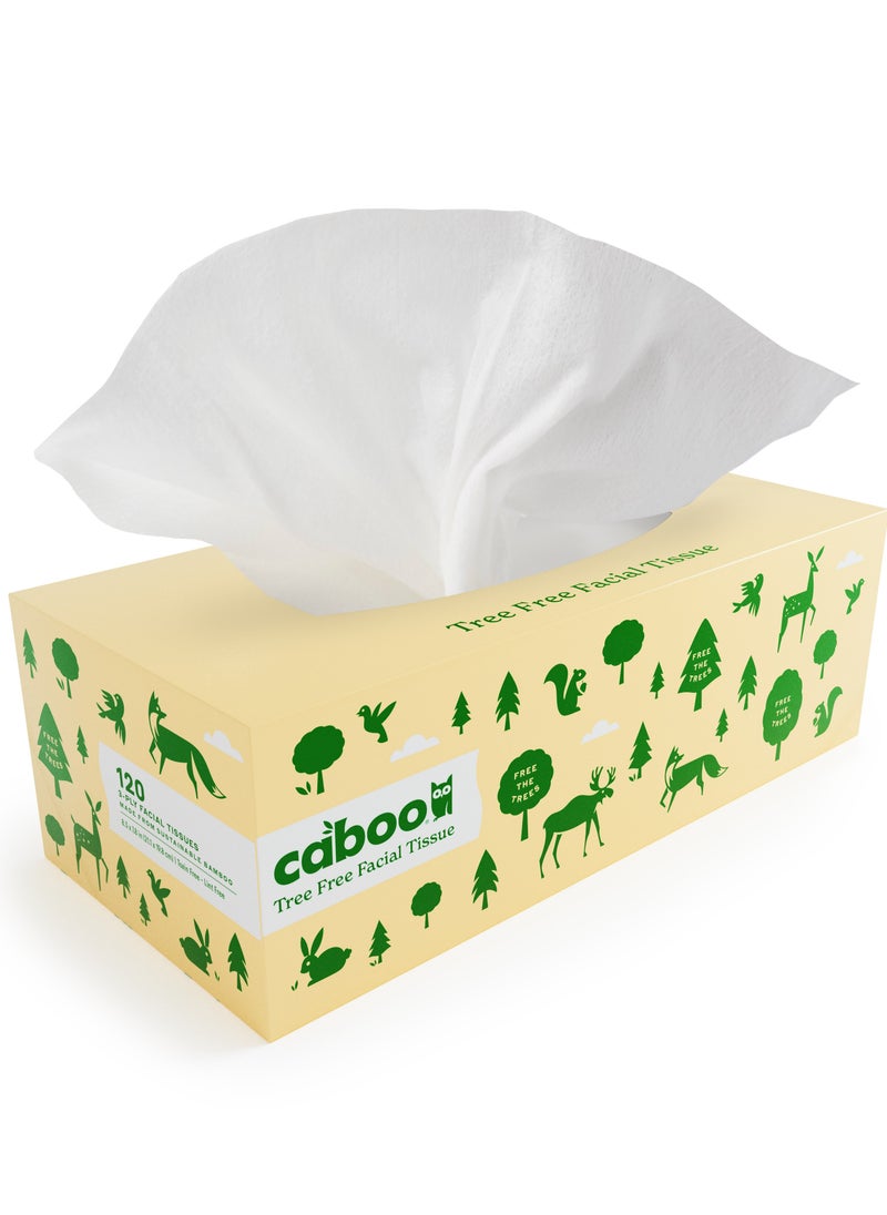 CABOO Caboo Flat Box Facial Tissue 120ct 3ply 