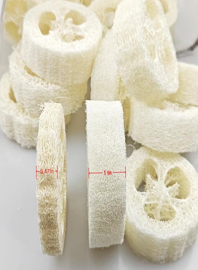 ENLAYER 22PCS Natural Loofah Slices, Reusable Natural Loofah Cuts for Cleaner Sponge Scrubber, Facial Soap Holder and DIY Customize Soap Tools with 1 Storage Bag (Diameter 3.15In, Thick 1In) - Image 3