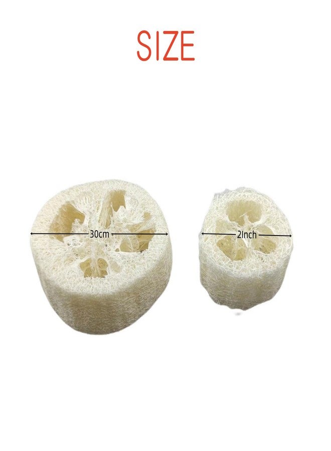 ENLAYER 22PCS Natural Loofah Slices, Reusable Natural Loofah Cuts for Cleaner Sponge Scrubber, Facial Soap Holder and DIY Customize Soap Tools with 1 Storage Bag (Diameter 3.15In, Thick 1In) - Image 2
