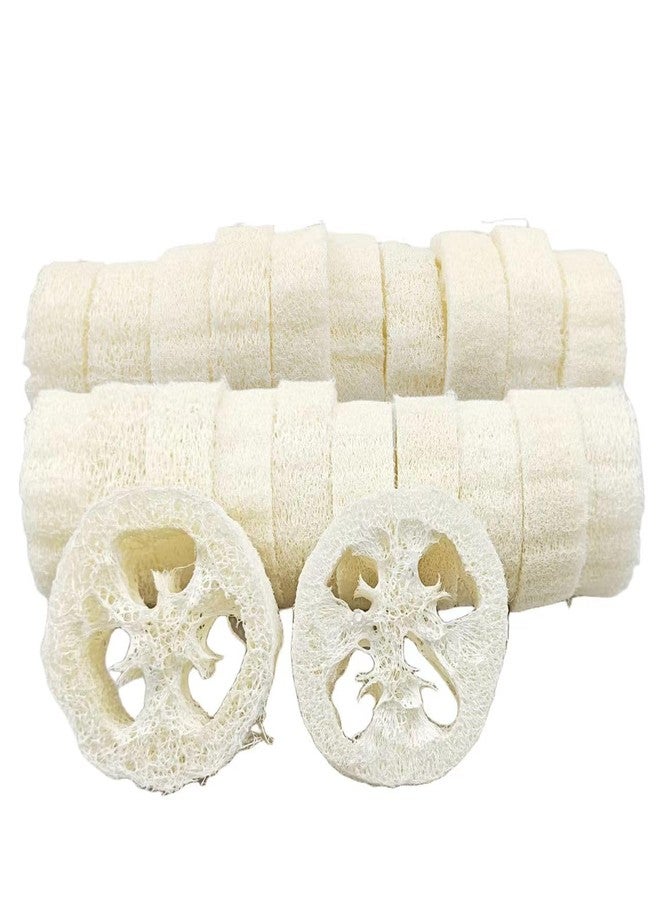 ENLAYER 22PCS Natural Loofah Slices, Reusable Natural Loofah Cuts for Cleaner Sponge Scrubber, Facial Soap Holder and DIY Customize Soap Tools with 1 Storage Bag (Diameter 3.15In, Thick 1In) - Image 1