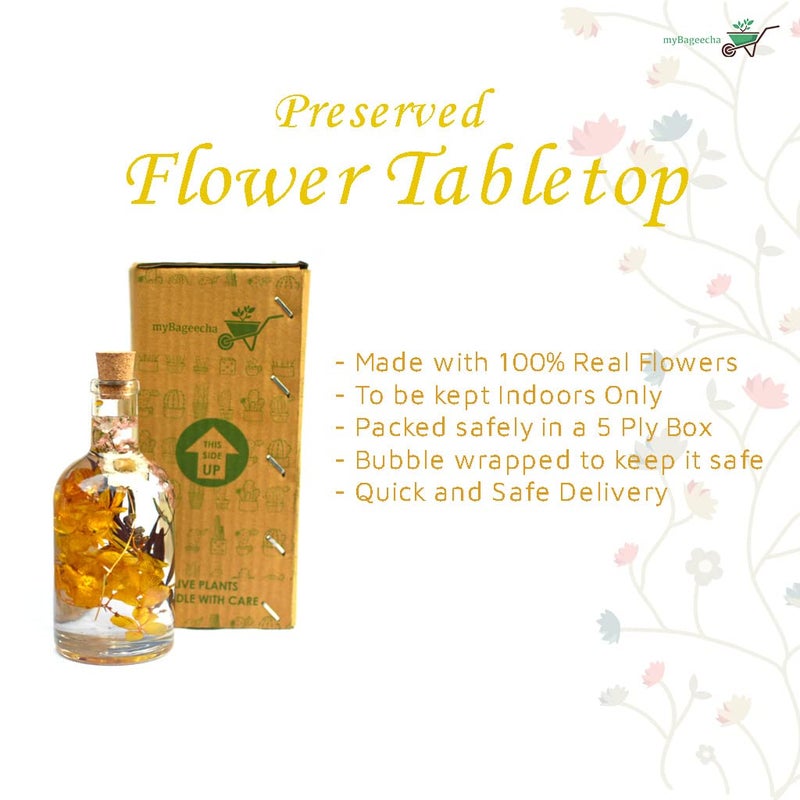 myBageecha Baroque Carafe Preserved Tabletop Natural Long Lasting Beautiful Real Flower Home Interior Decor Desk Mini Garden Decoration Herbarium EcoFriendly Gift Glass Yellow 175cm x 7 Cm - Image 4