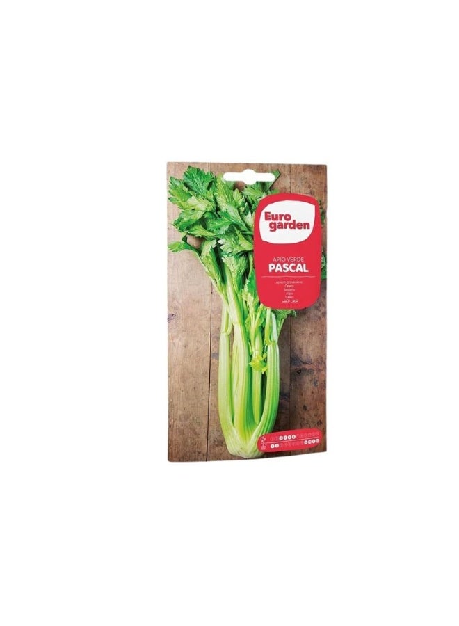 Euro Garden EG Celery Pascal 