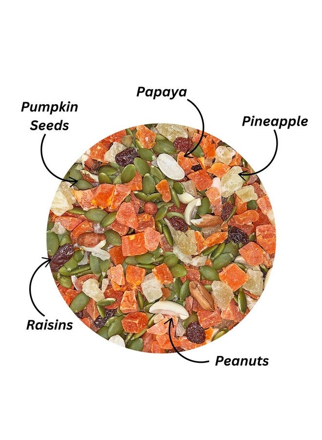 EXOTIC NUTRITION Fruit & Nut Mix - Healthy & Unique Mixed Nuts & Dried Fruit Treat - Sugar Gliders, Squirrels, Marmosets, Parrots, Birds, Rats, Rabbits, Guinea Pigs, Hamsters, Chinchillas & Other Small Pets… (8 oz)  - Image 2