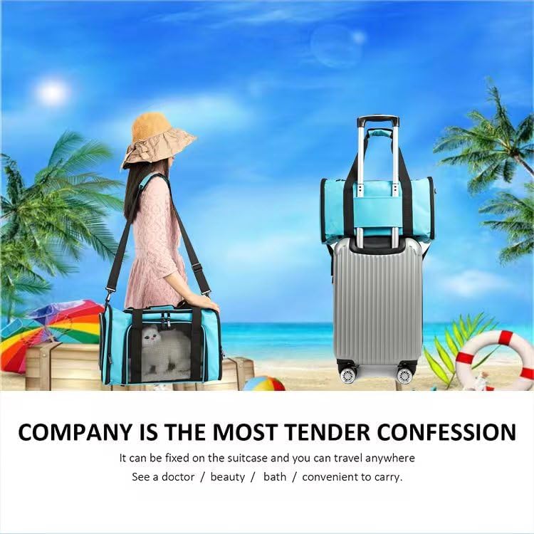 ROSEBB Cat Carrier Dog Carrier Pet Carrier Cat Bags for Small Medium Cats Dogs Puppies of 15 Lbs,of Airline Approved Small Dog Bag Soft Sided,Collapsible Travel Puppy Carrier (Large, Blue) - Image 4