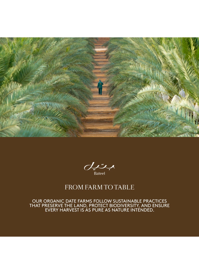 Bateel Palm Small Gift Set Premium Filled Dates 1 Box (354g) - Image 5