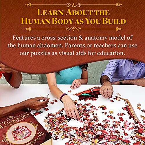 Genius Games Human Abdomen Anatomy Jigsaw Puzzle | Dr Livingston's Unique Shaped Science Puzzles, Accurate Medical Illustrations of the Body, Organs, Stomach, Liver and Intestines - Image 5