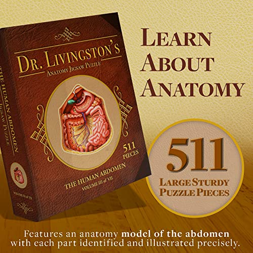 Genius Games Human Abdomen Anatomy Jigsaw Puzzle | Dr Livingston's Unique Shaped Science Puzzles, Accurate Medical Illustrations of the Body, Organs, Stomach, Liver and Intestines - Image 2