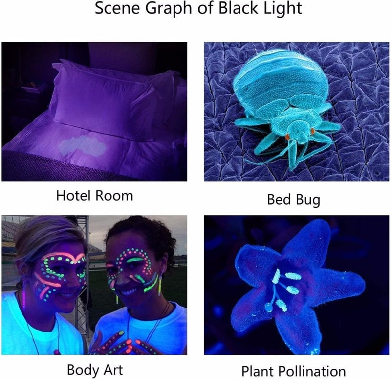 Naroote LED Black Light Flashlight, 365nm Rechargeable Portable Blacklight Detector with Pure 365nm Light & Aluminum Alloy Housing, Ideal for Finding Scorpions, Dog Urine & AC Leaks - Image 5