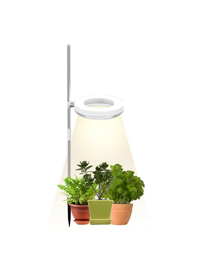 Indoor Small Plant Light Full Spectrum LED Plant Light Desktop Mini Plant Light Height Adjustable Plant Light with IPL & Sunlight in Single & Double Lamp Holder - pzsku/Z90E6EE1AAFC55EDCB4A8Z/45/_/1721361676/b9ee3a71-2dd6-4604-89e9-103ed4164350