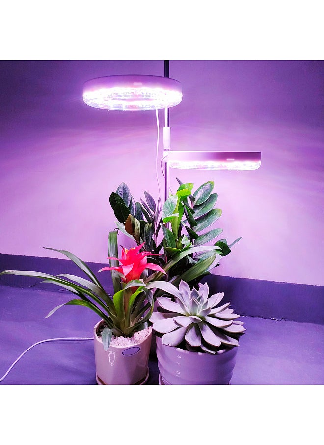 Generic - Indoor Small Plant Light Full Spectrum LED Plant Light Desktop Mini Plant Light Height Adjustable Plant Light with IPL & Sunlight in Single & Double Lamp Holder - Image 1